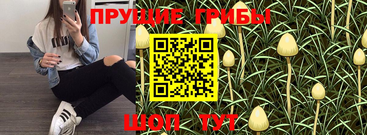 купить наркотик  Псилоцибиновые грибы Magic Shrooms  Вход с VPN  Кимры 